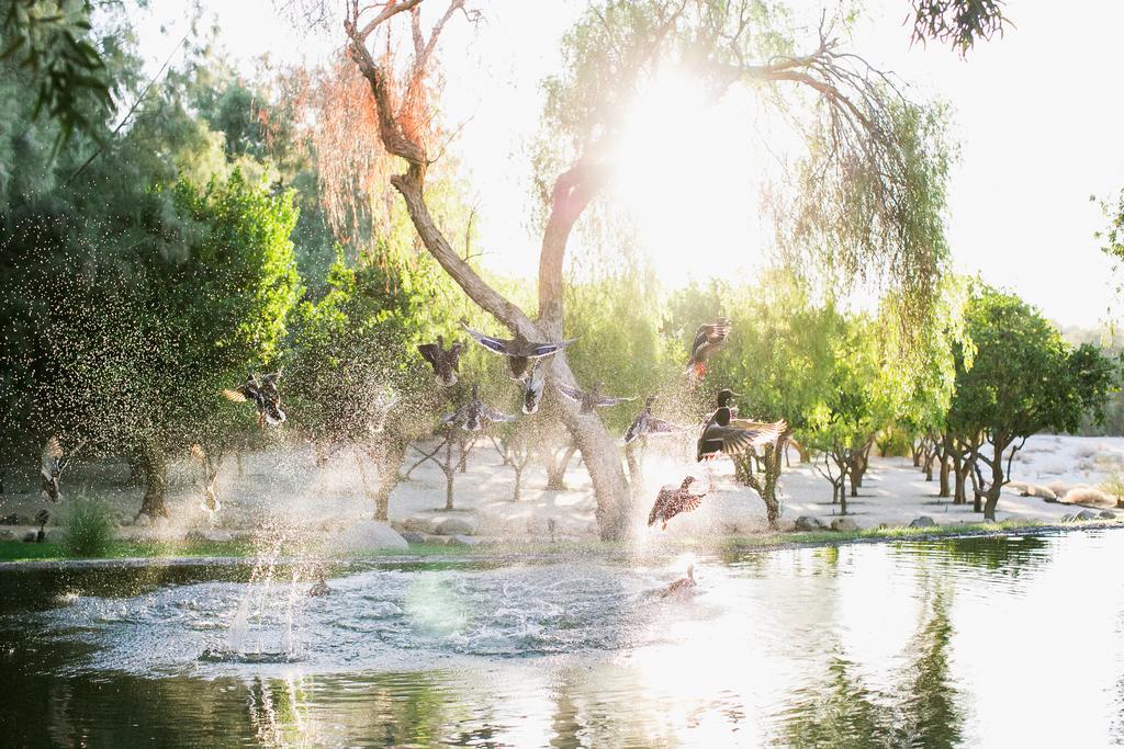 Two Bunch Palms Resort & Spa - Adults Only Desert Hot Springs Buitenkant foto