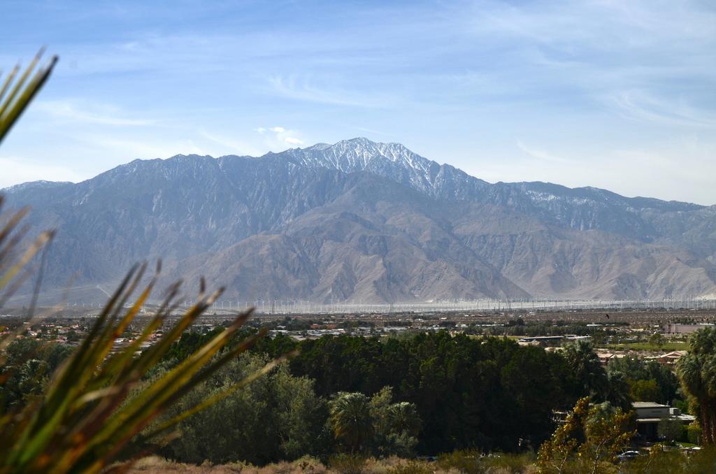 Two Bunch Palms Resort & Spa - Adults Only Desert Hot Springs Buitenkant foto