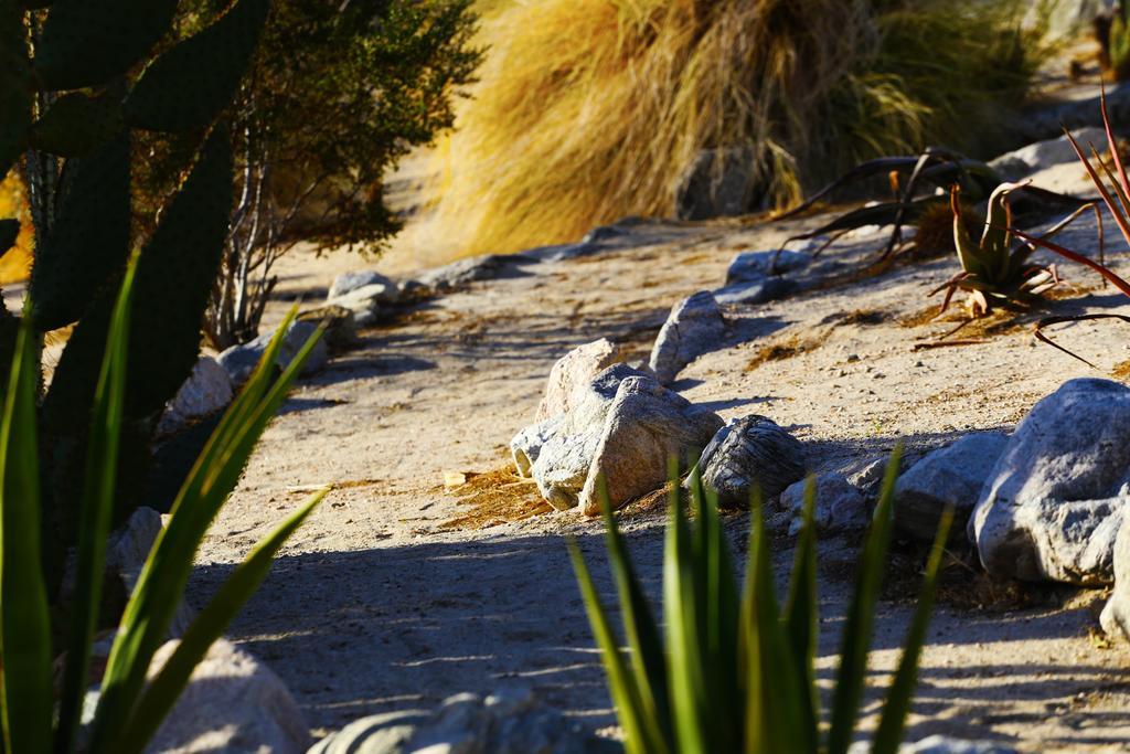 Two Bunch Palms Resort & Spa - Adults Only Desert Hot Springs Buitenkant foto
